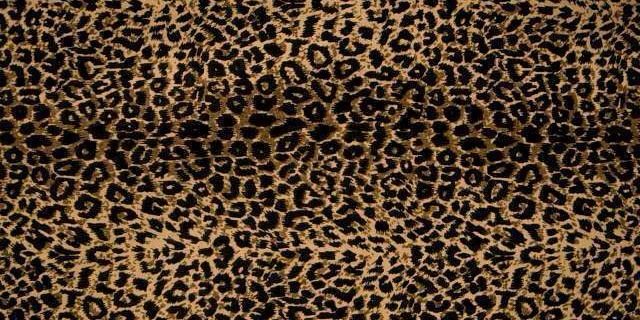 ffrenchie_24's profile banner image