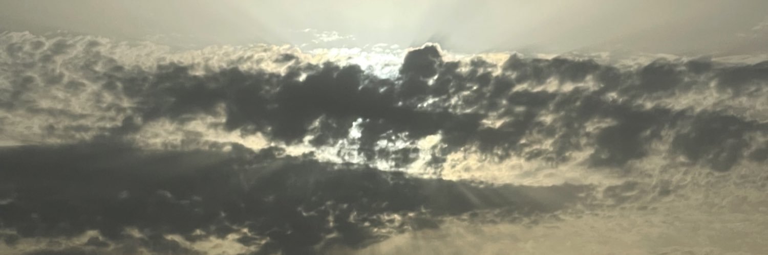 j0nil4's profile banner image