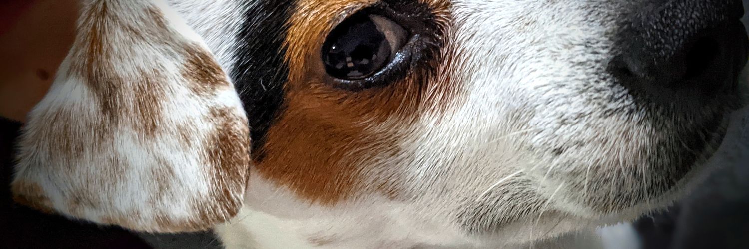 Diego Rossonero... banner