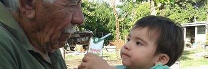 sofidechia's profile banner image