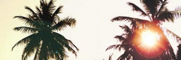 lolzariaaa Profile Banner