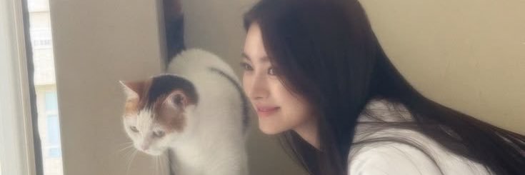 Juno banner