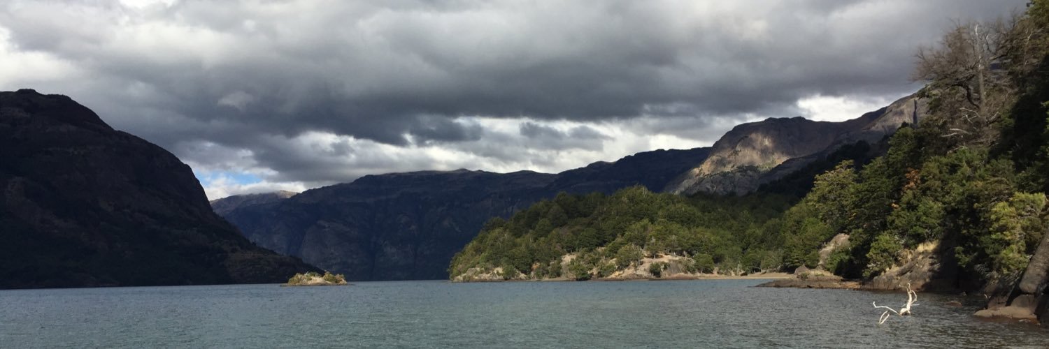 csimpsonr's profile banner image
