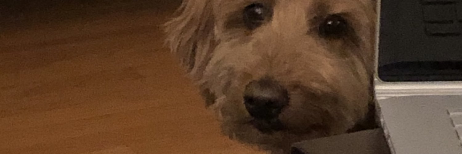 foley08's profile banner image