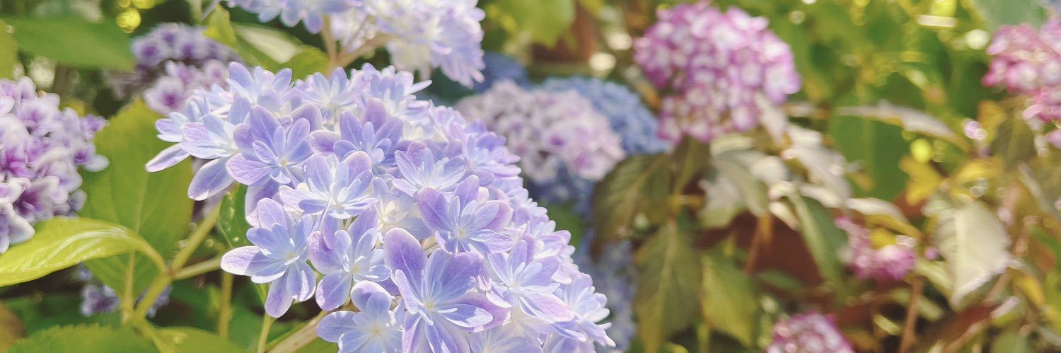 Akky_sweet's profile banner image