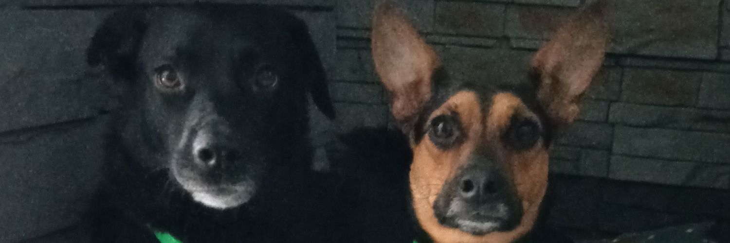 eliianarivero's profile banner image