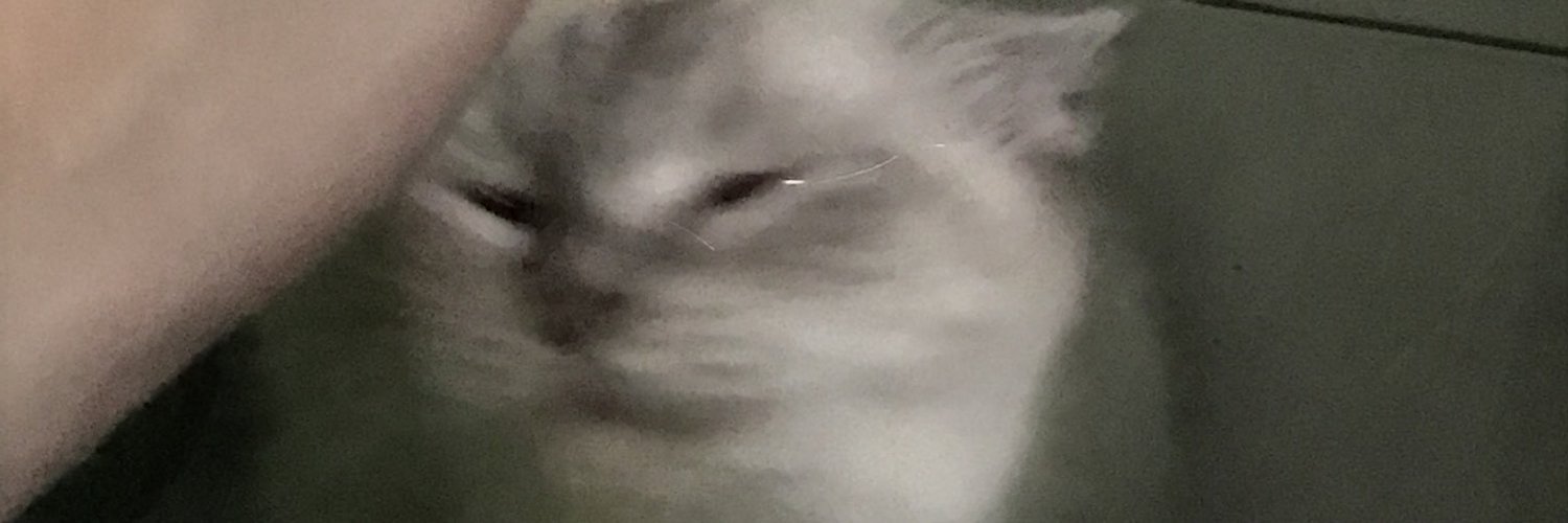 iris_folder's profile banner image
