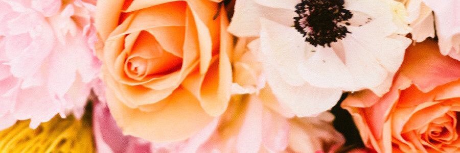 sass1ca's profile banner image