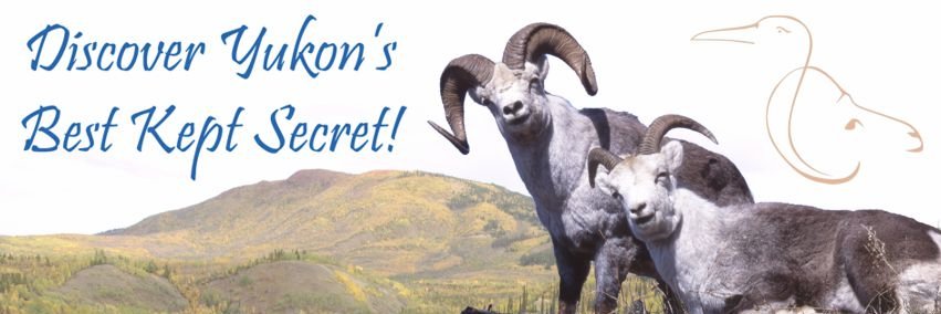 FaroYukon's profile banner image