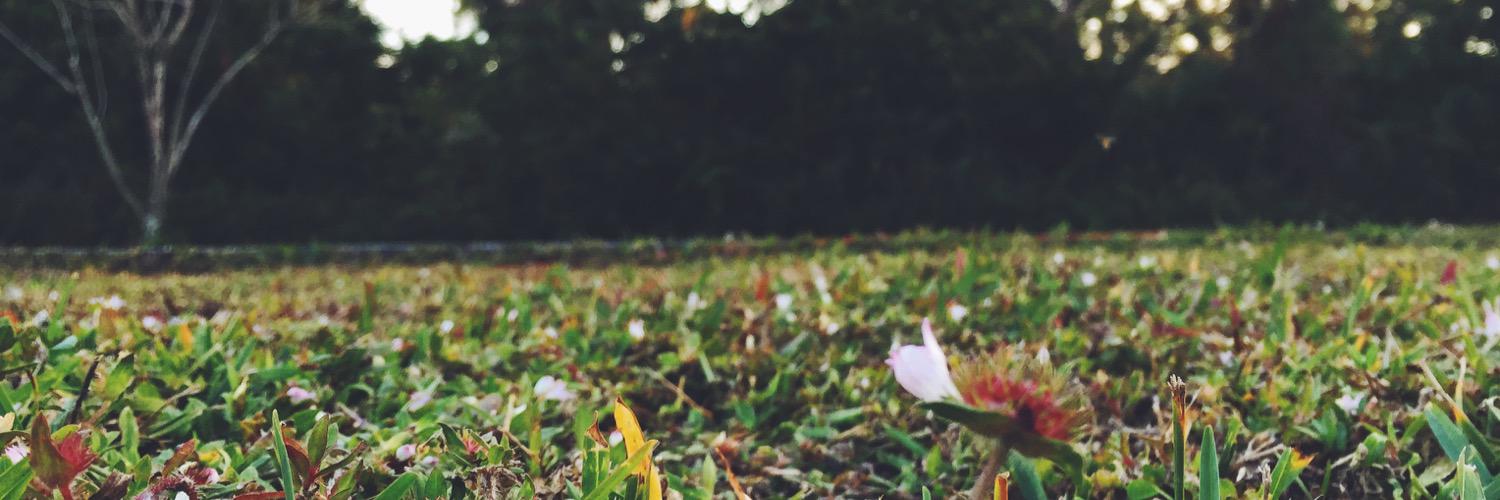 chengwanxin's profile banner image