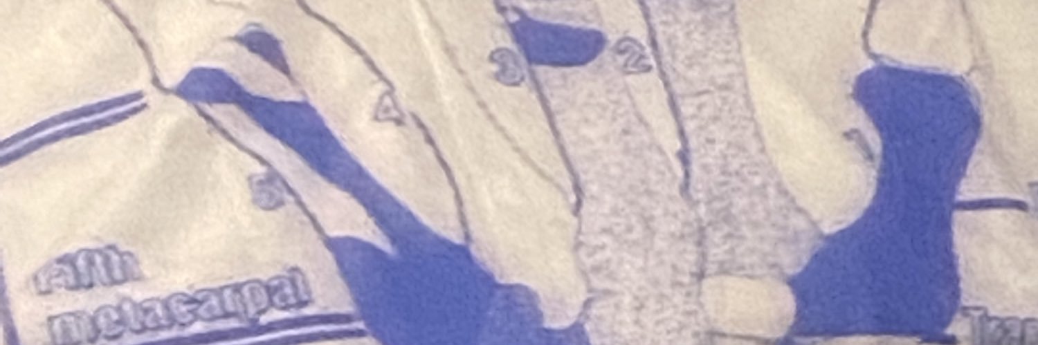 Fern. banner