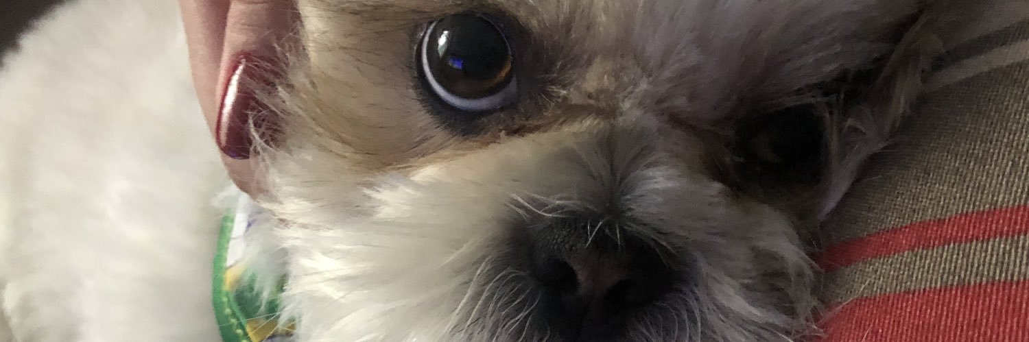 gabsprc's profile banner image