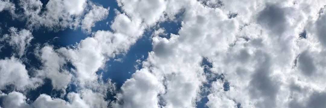 Lsvvvvvv's profile banner image