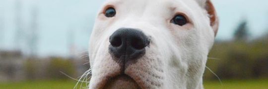 Martin_vilchez1's profile banner image