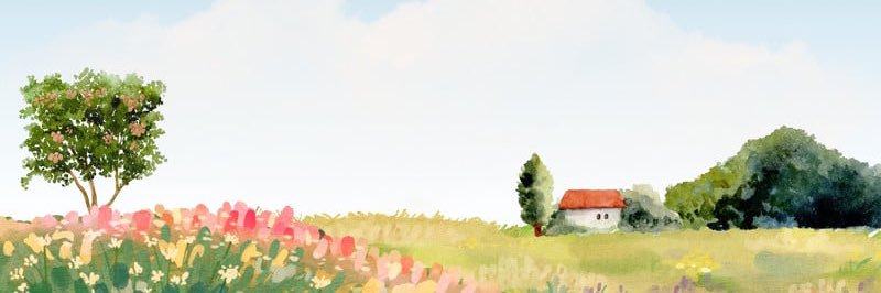 num_jaja's profile banner image
