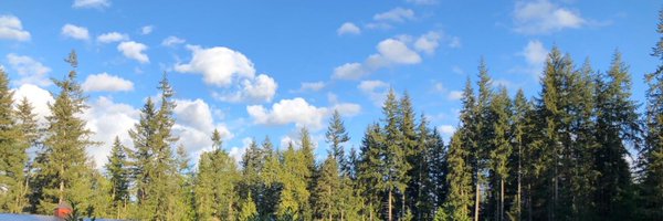 mihai_pd Profile Banner