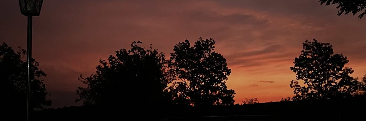 camibea_'s profile banner image