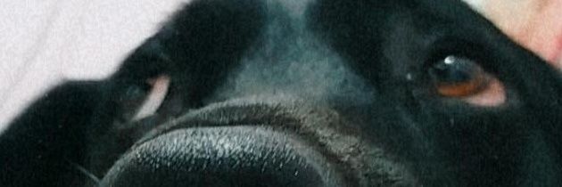 SolVillacorta12's profile banner image