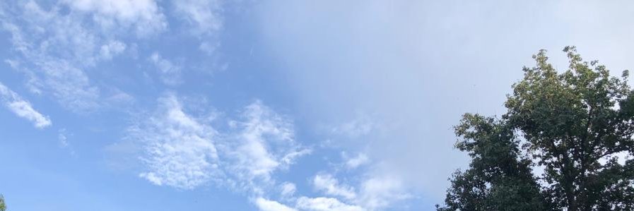 TubiAlberto's profile banner image
