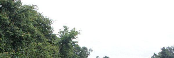 raghuveer Profile Banner