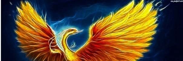 Kristrainerr's profile banner image