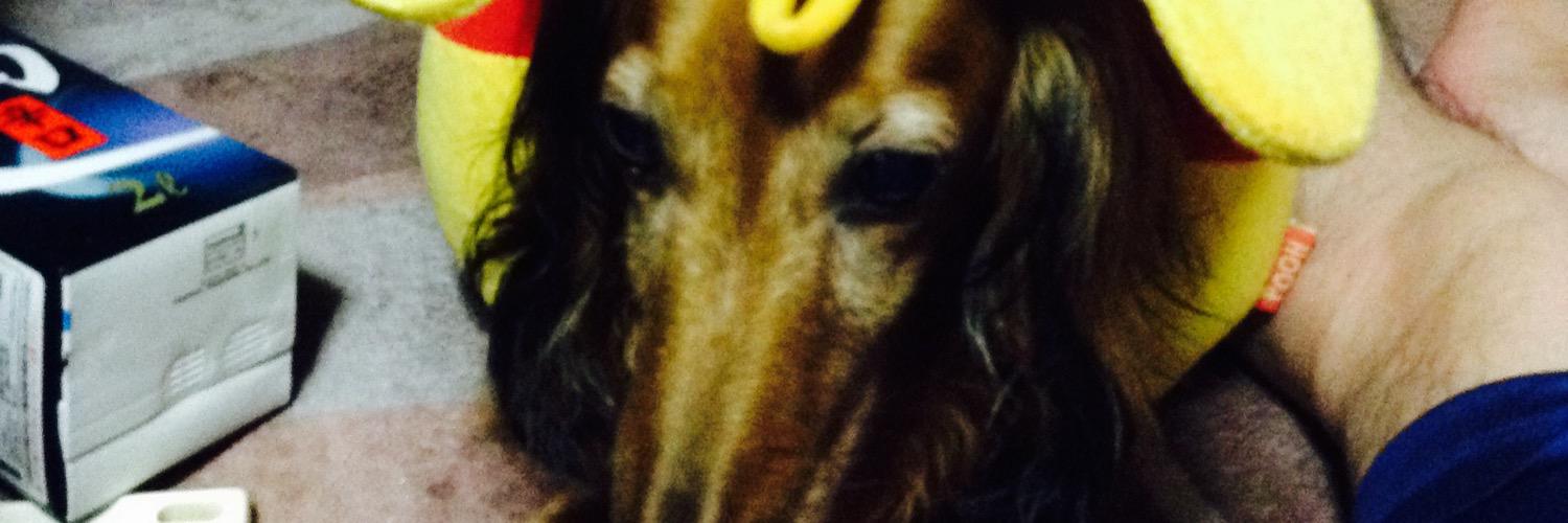 ぐうのしん banner