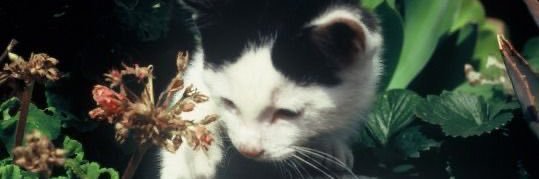 hunterivaille's profile banner image