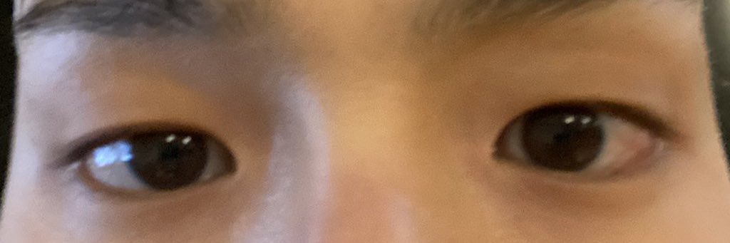 sshownusmanager's profile banner image