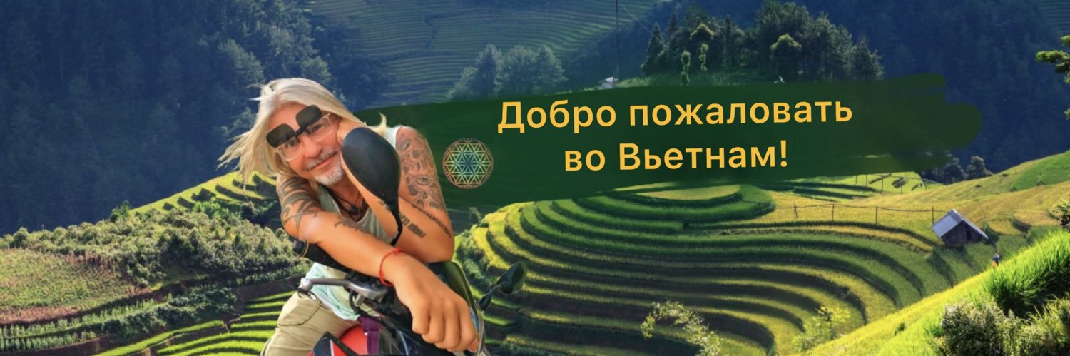 zsmlion's profile banner image