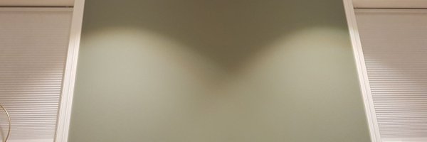 trannx Profile Banner