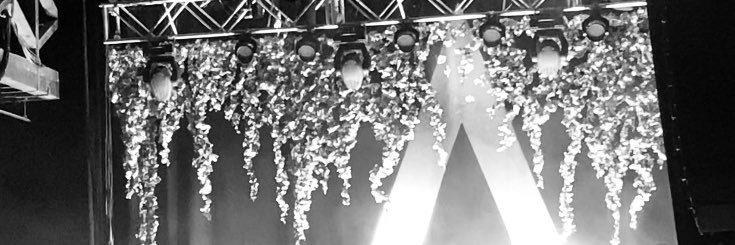 phie ♡ banner
