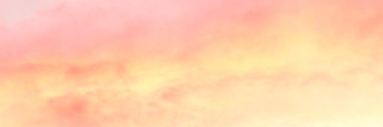 Lauri guez banner