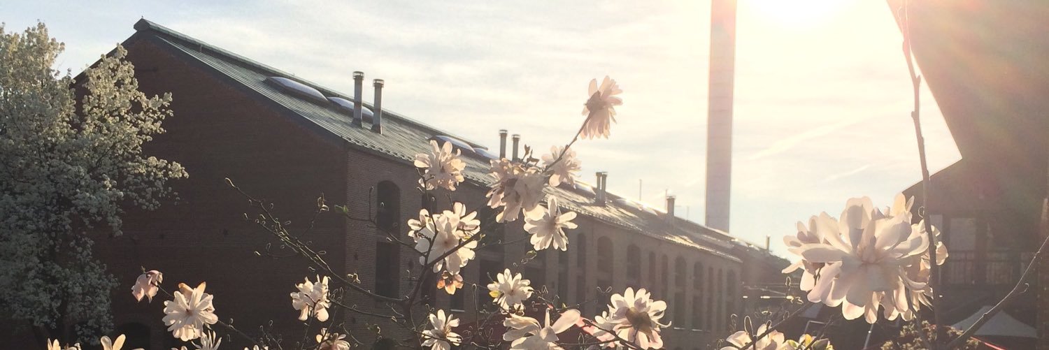 itsspeltluis's profile banner image