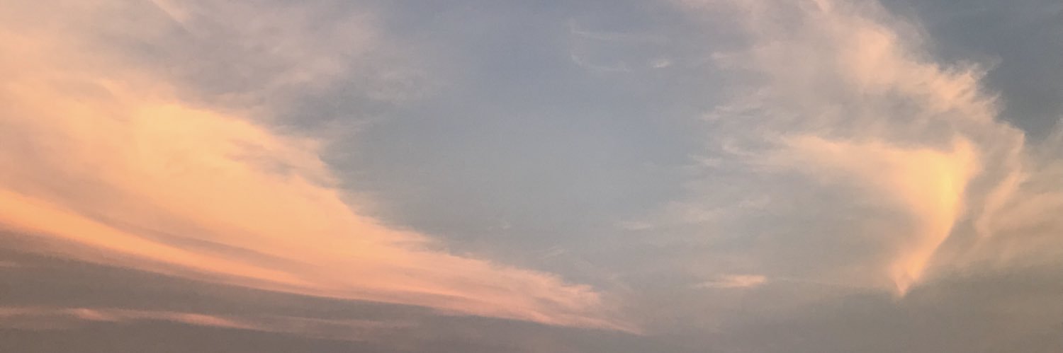 Haley banner