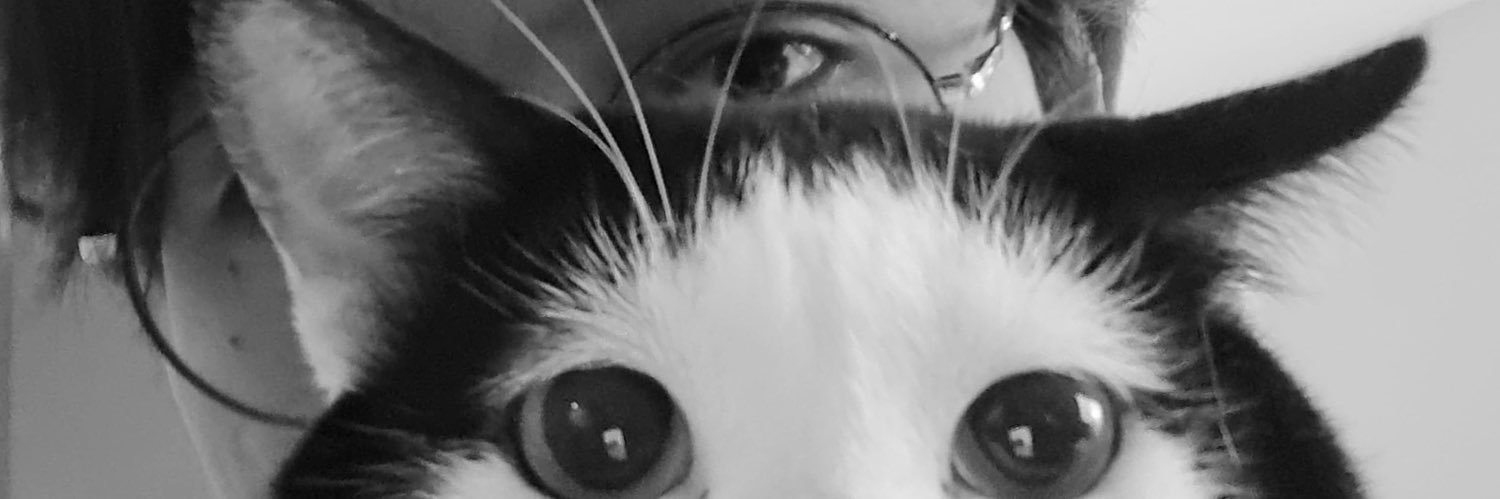 kaldu jamur fantastis 🐈 banner