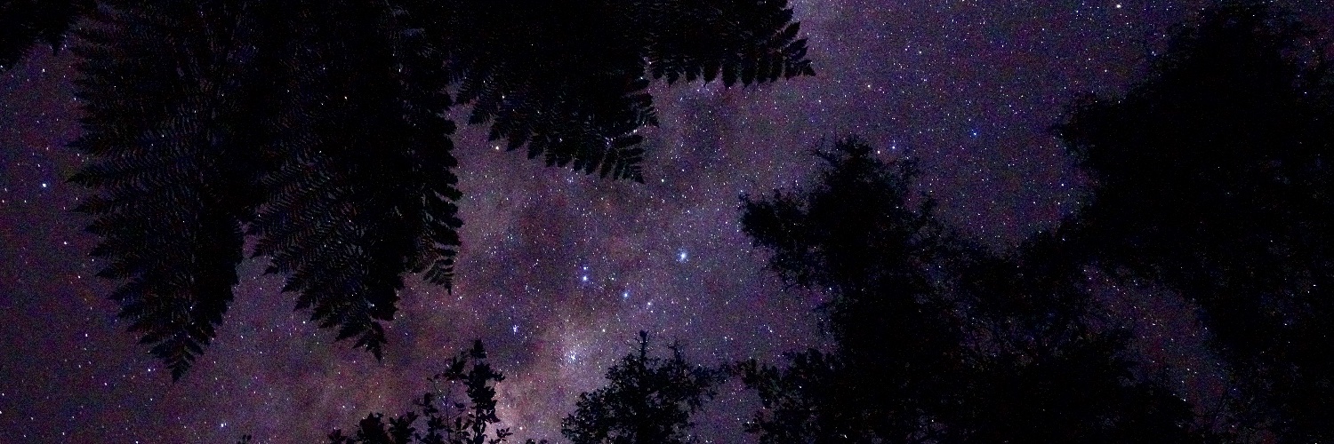 gutierrezhector's profile banner image
