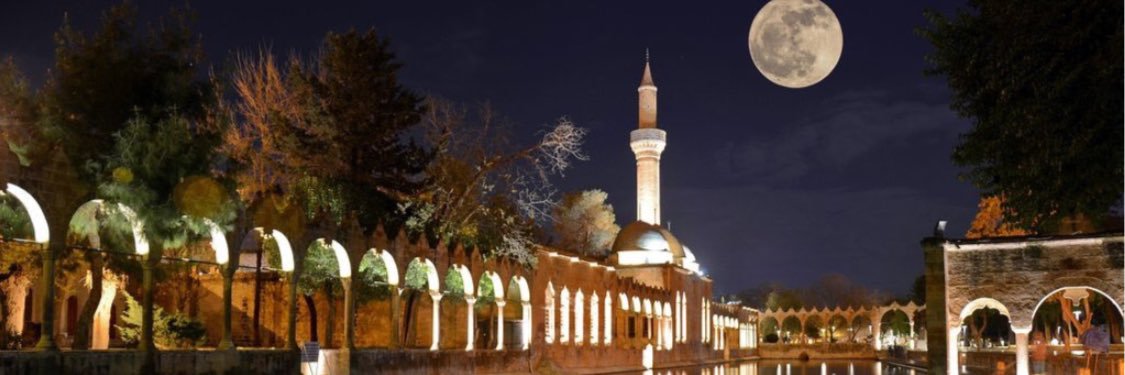 Arzu Sorguç banner