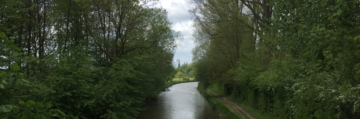 Dr Pam Thompson banner