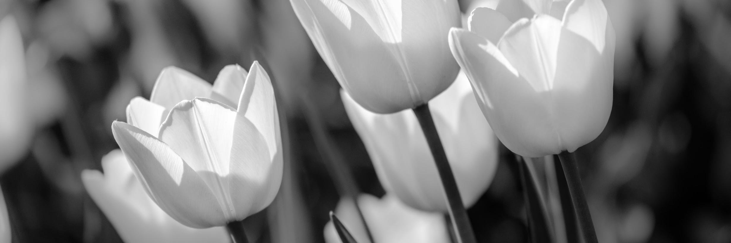 MikeArend's profile banner image