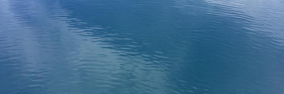 katelich's profile banner image