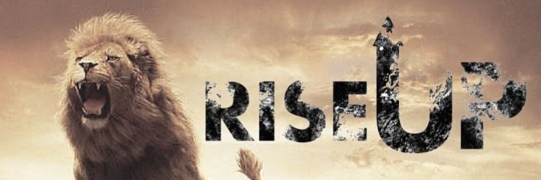 Craig Schaffer's banner