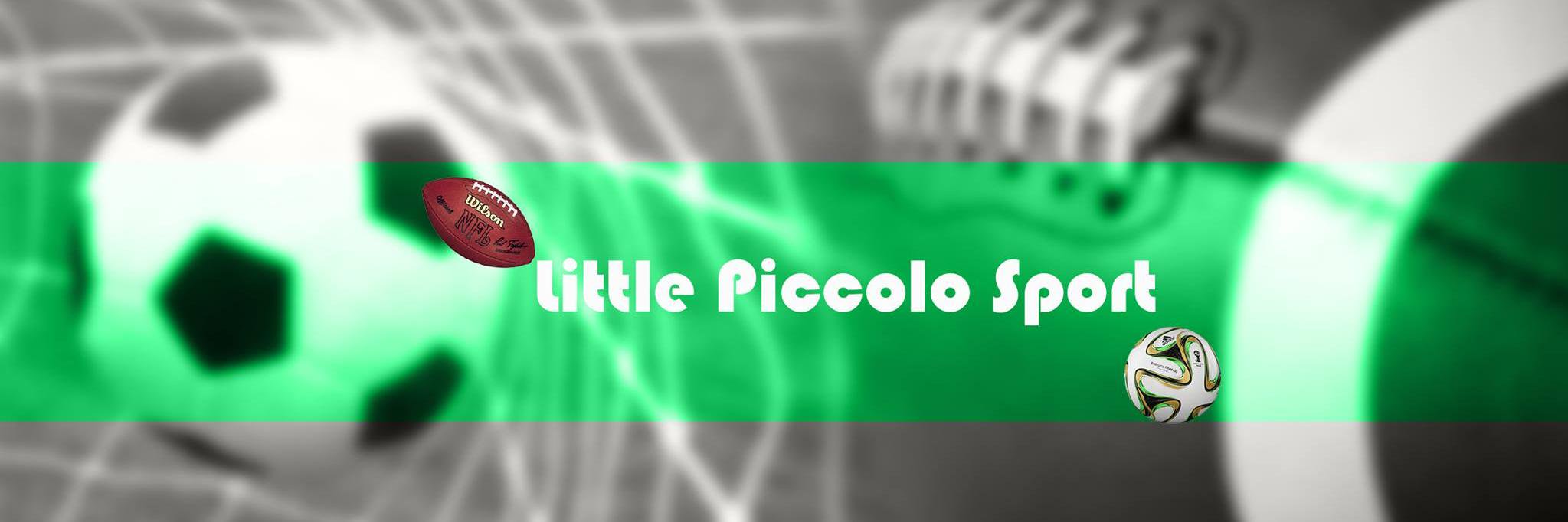 Little_Piccolo's profile banner image
