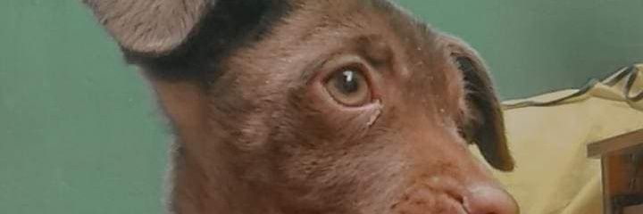 james_rodri1's profile banner image
