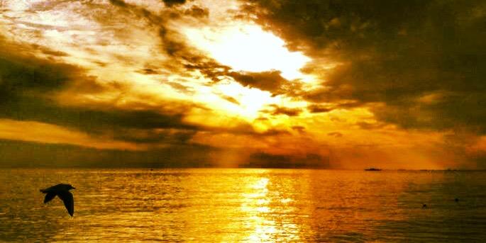 gnrgn's profile banner image
