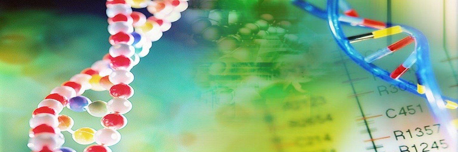 tjun17's profile banner image