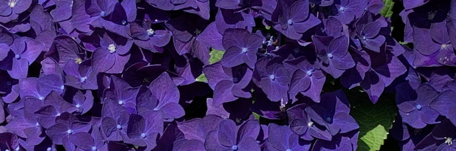 fish_knm's profile banner image