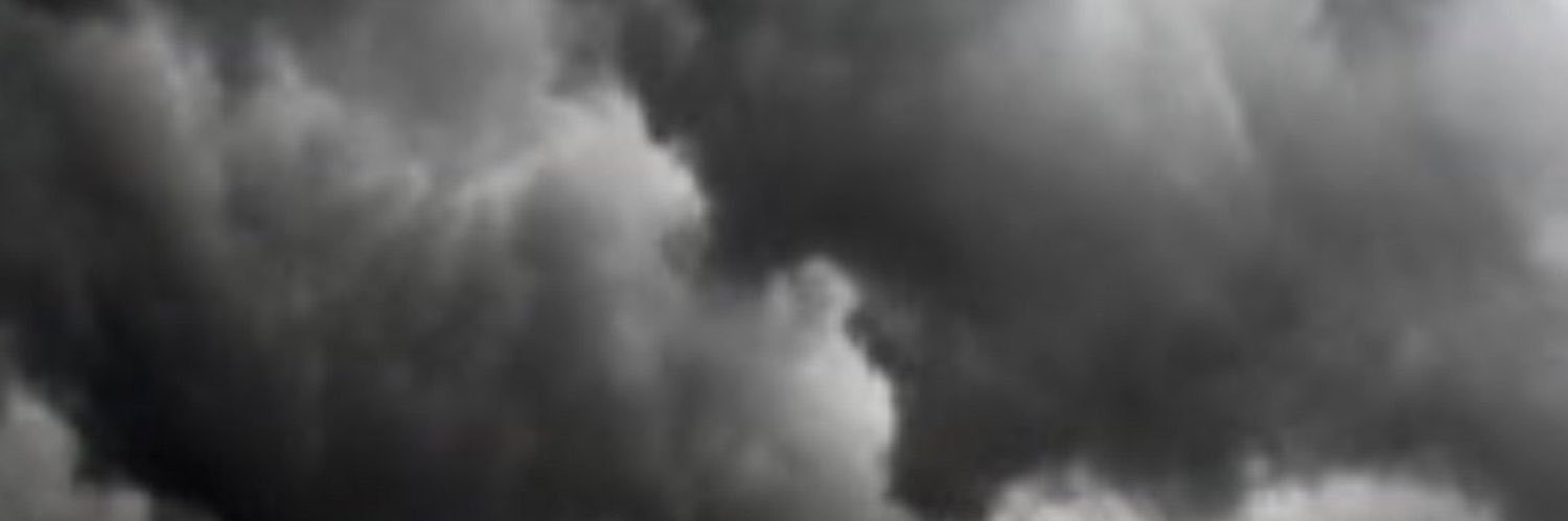 celcisneros's profile banner image