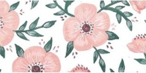 cassandrslee's profile banner image