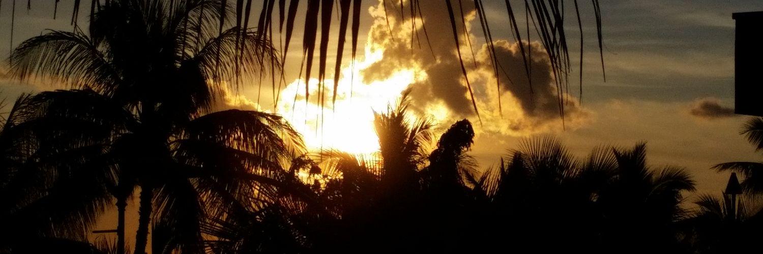 kellymarsden's profile banner image