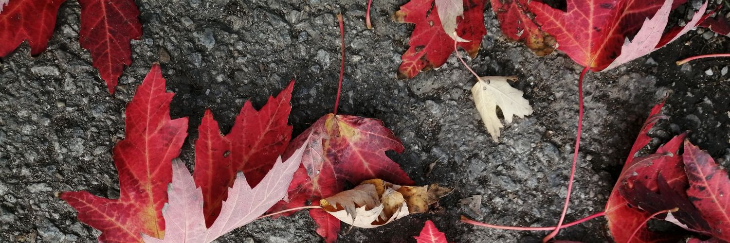 deadbeatnymph's profile banner image